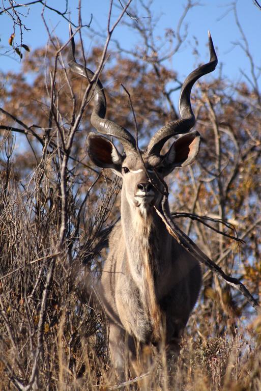 Ouklip Game Lodge Klipdrift Екстер'єр фото